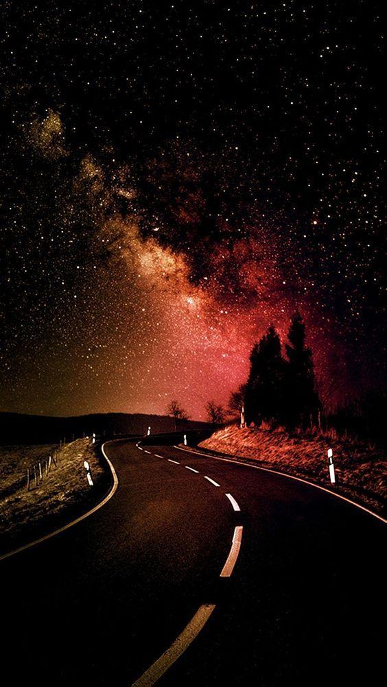 Nature Standard Whatsapp DP