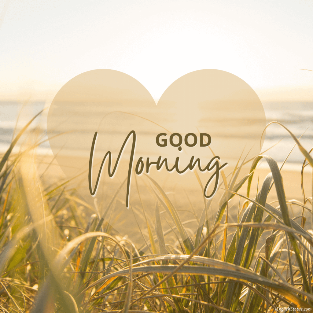 Beautiful Good Morning Images