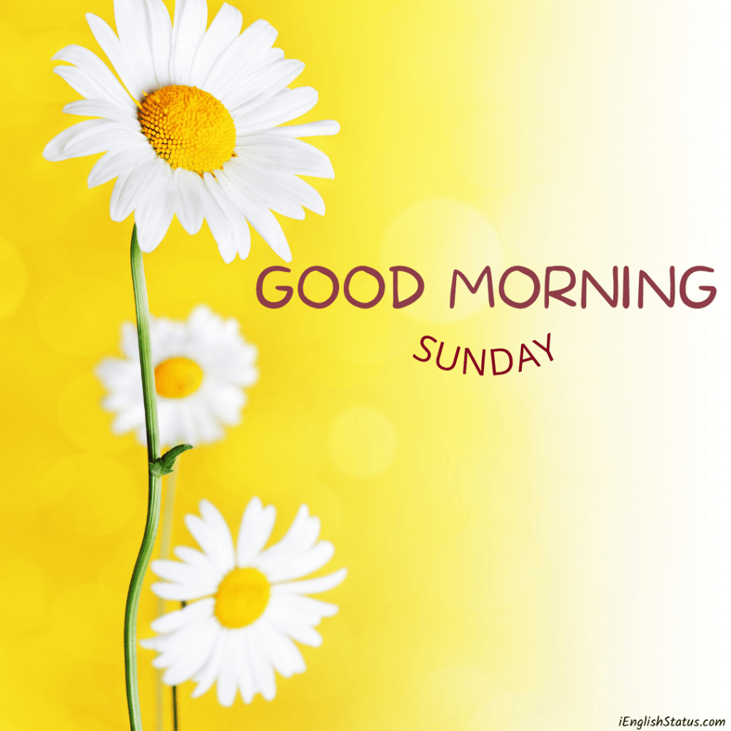 Beautiful Good Morning Sunday Images