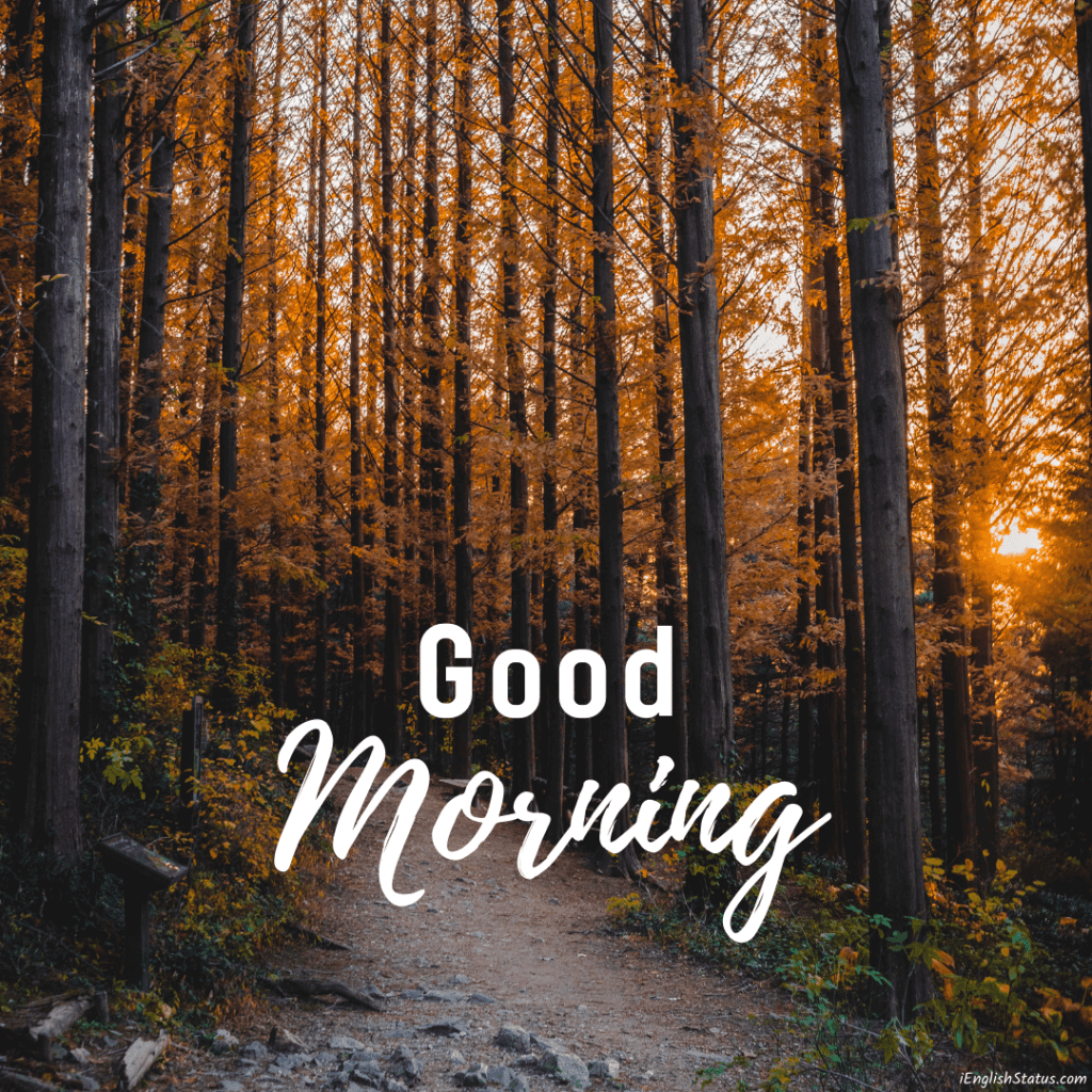 Best Good Morning Images