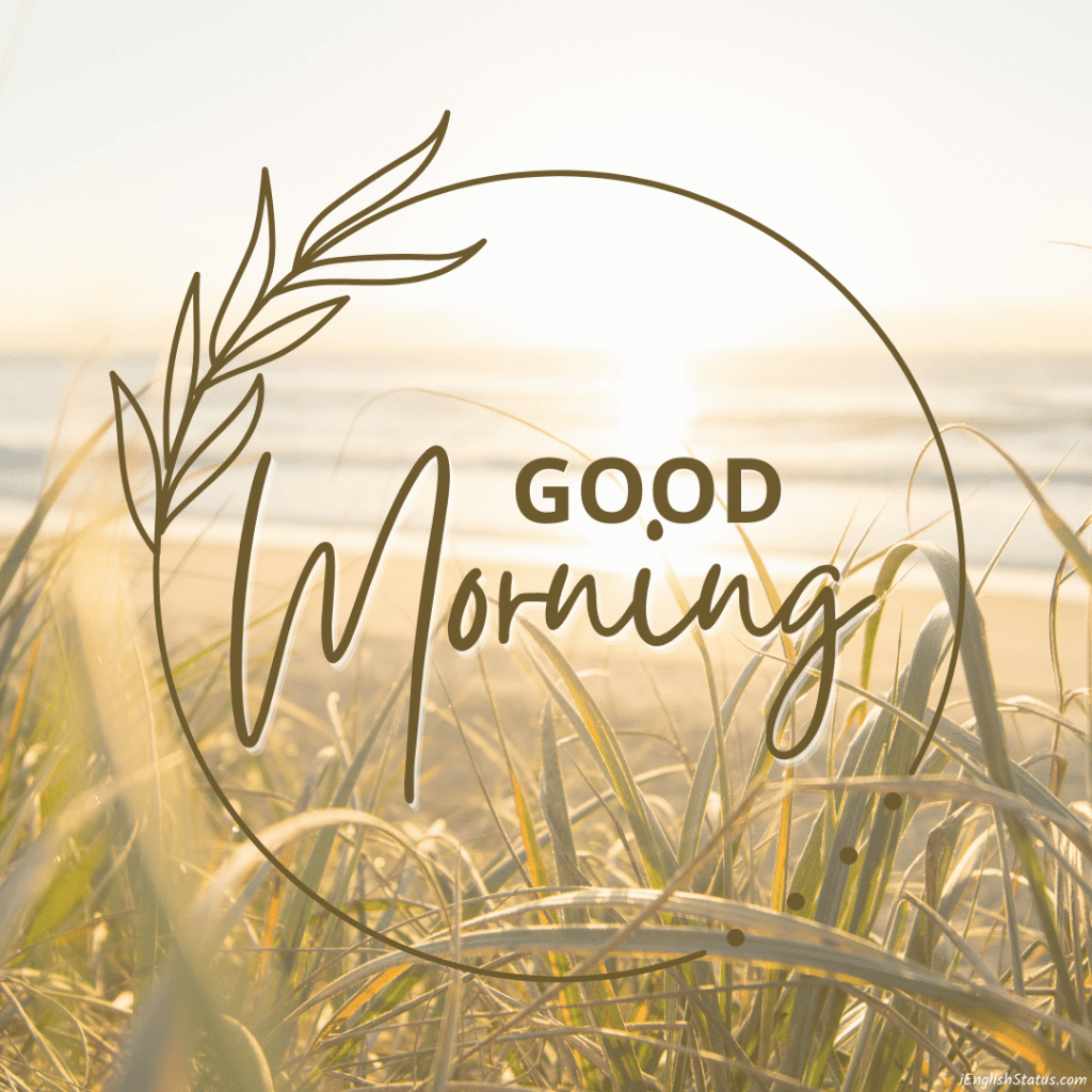 Good Morning Images New