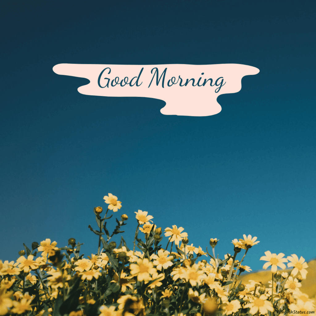 Good Morning Images With Flowers HD