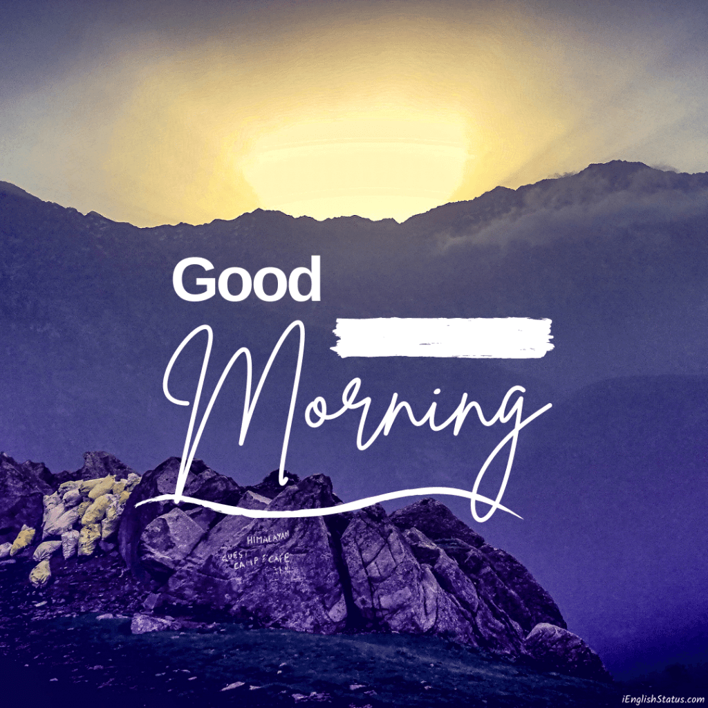 Good Morning Latest Images
