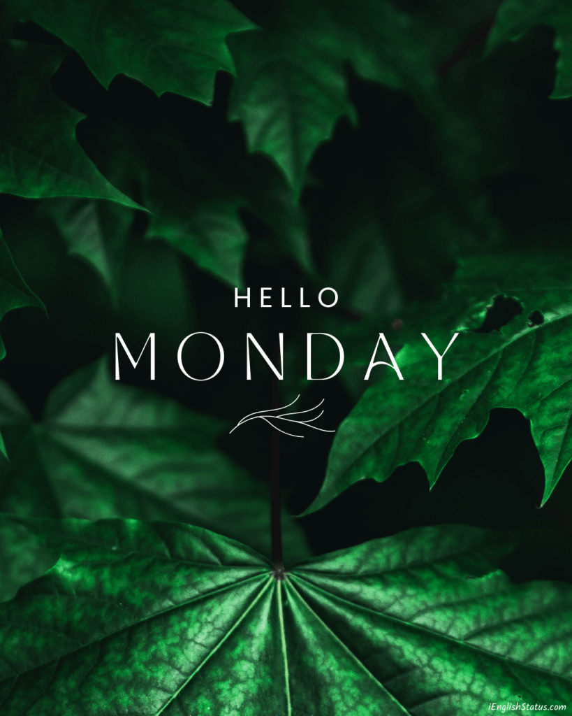 Good Morning Monday Photo
