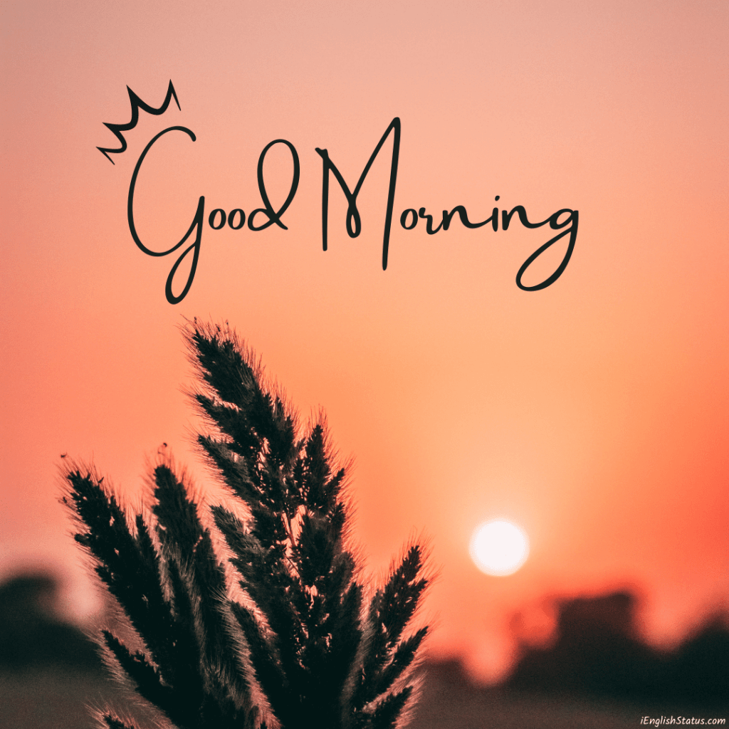 Good Morning Winter Images