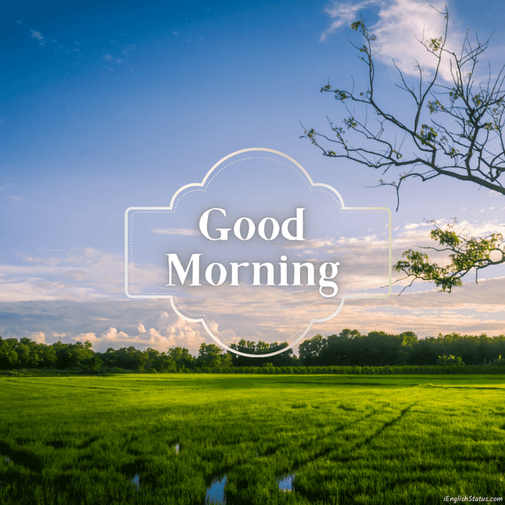 Green Good Morning Images