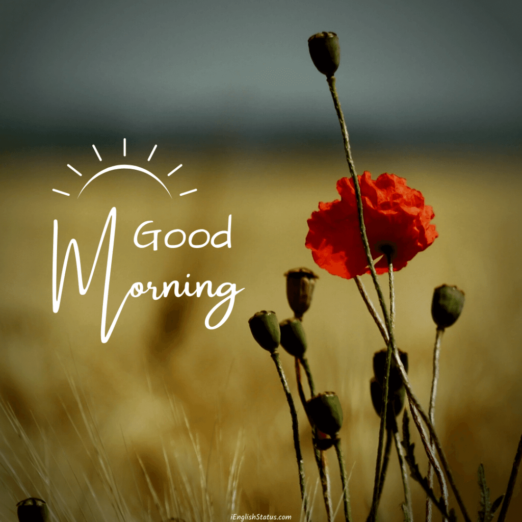 Sweet Good Morning Images