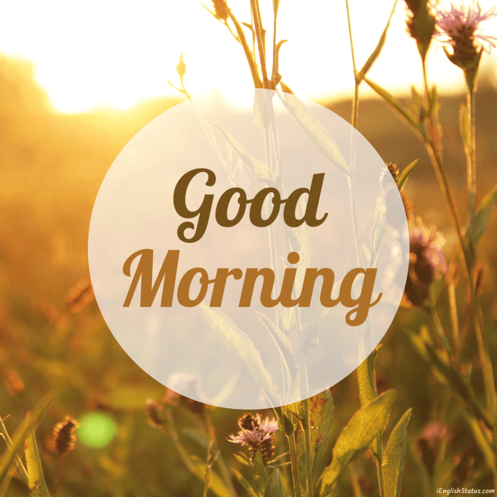 Village Good Morning Nature Images