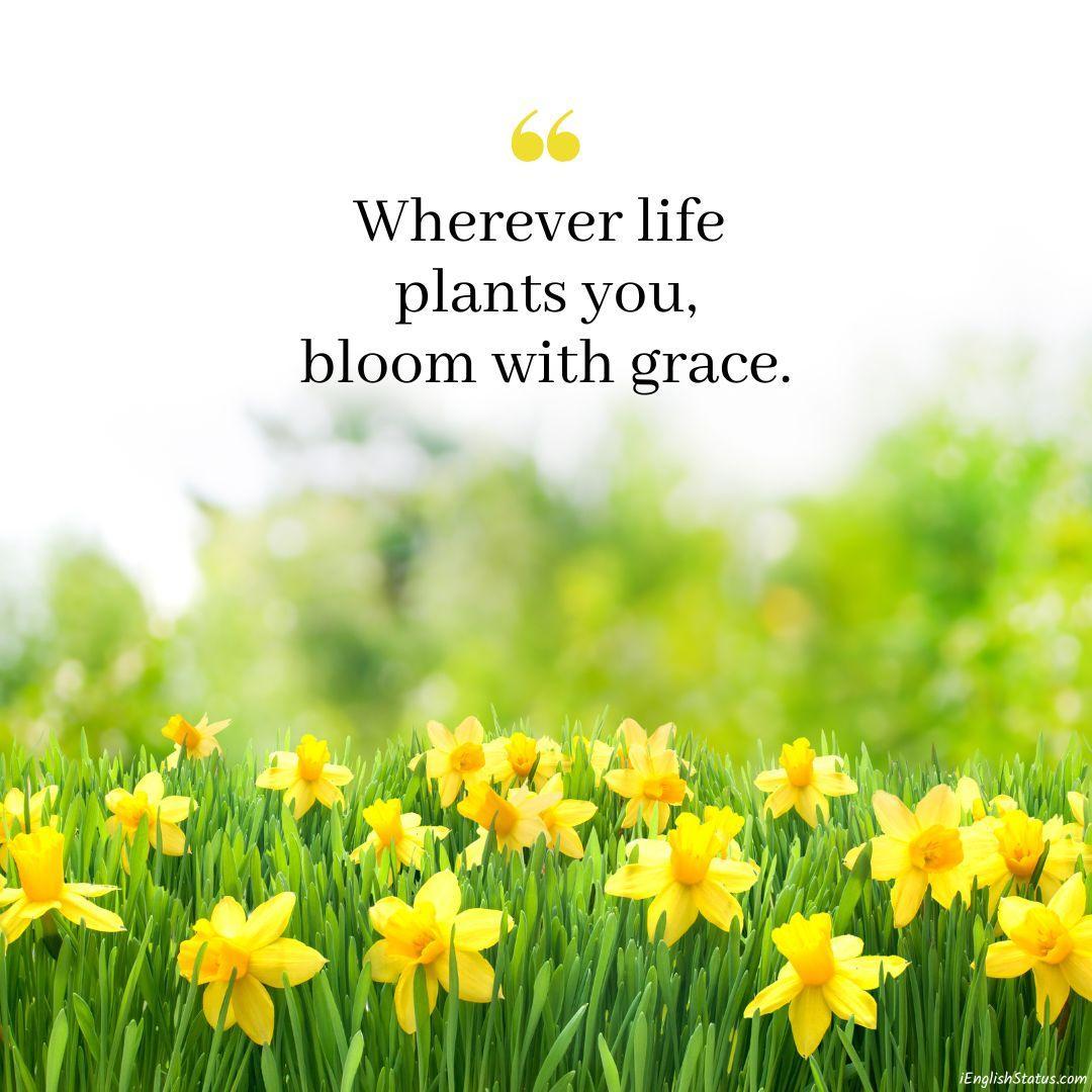 Flower Instagram Captions